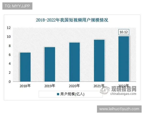 如何在333体育集团娱乐平台中实现个性化定制，满足不同用户的多样化需求
