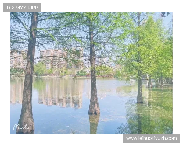 蓝鲸注册中心使用指南：详细步骤帮助新手快速完成账号注册与配置